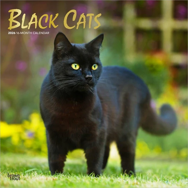 Black Cats   2026 12 x 24 Inch  Hanging  Monthly S awhd ca b0dykymrjj 1