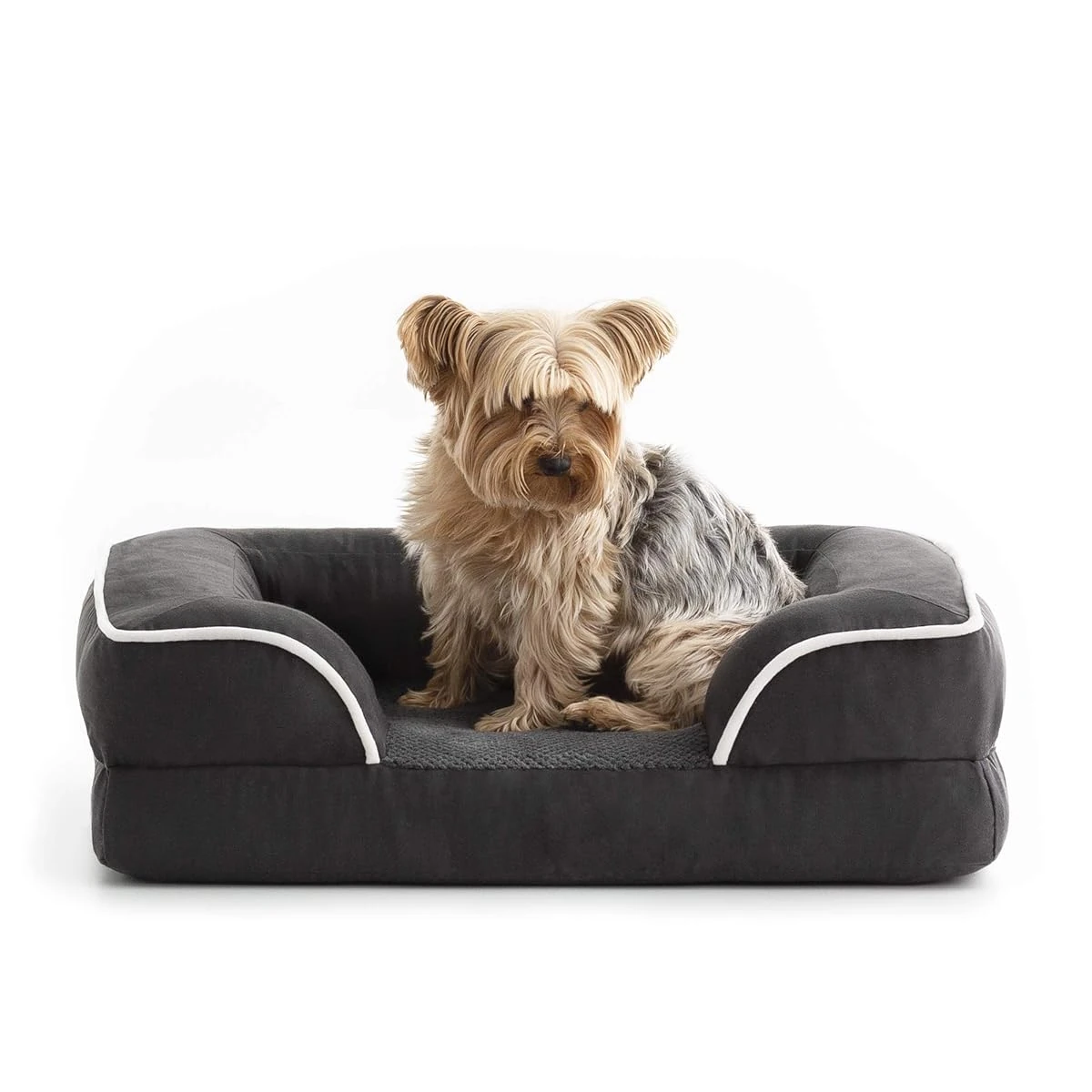 Brindle Orthopedic Dog Bed for Medium Dogs Water awhd ca b08krgf8xk 1