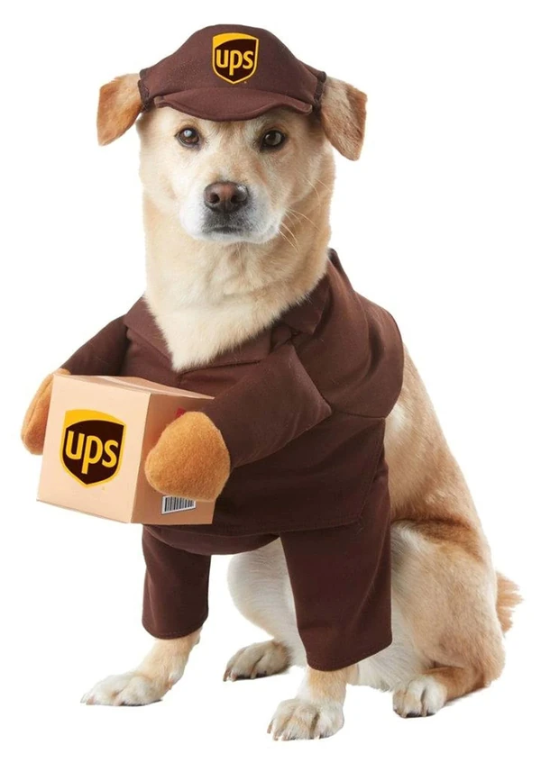 California Costumes UPS Dog Costume X Small awhd ca b01hnf94si 1