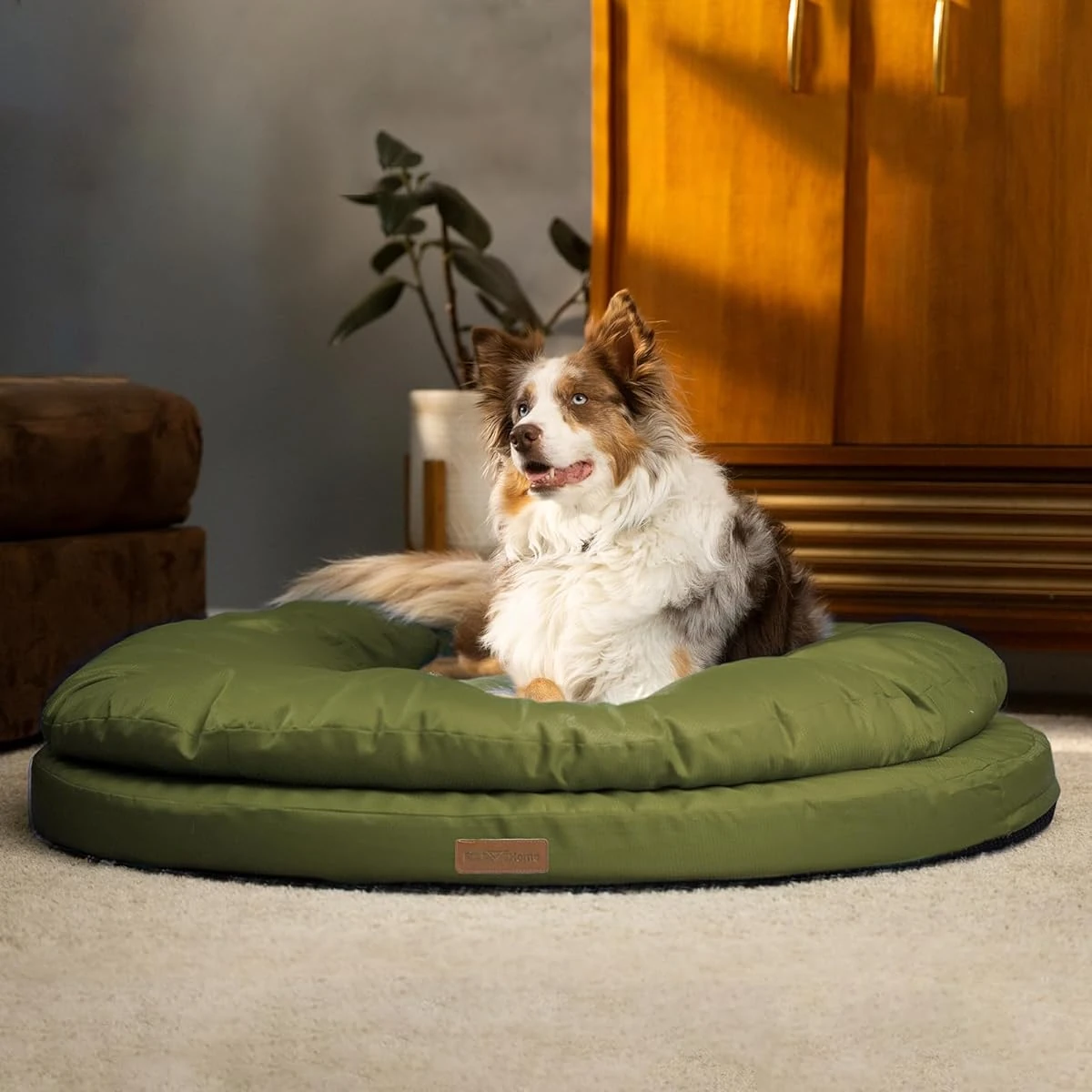 ClevaHome Orthopedic Dog Bed for Large Dogs  Dual  awhd ca b0d1gwnr3c 1