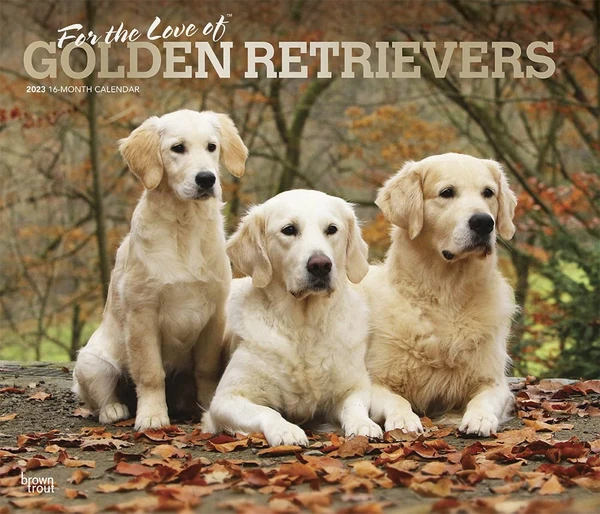 For the Love of Golden Retrievers   2023 14 x 24 I awhd ca 1975451686 1