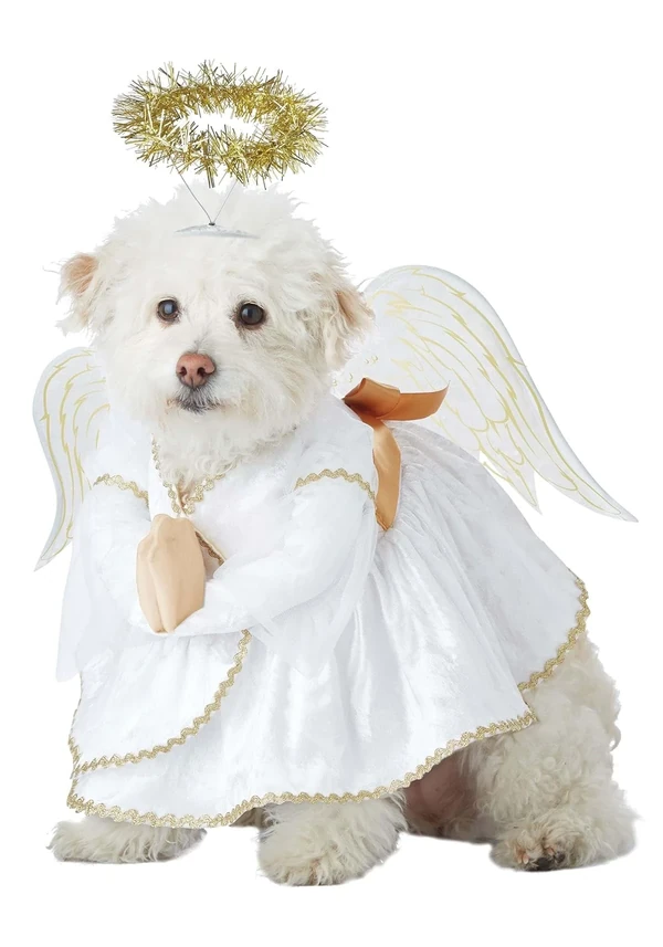 Heavenly Hound Pet Costume Large awhd ca b07cg6m2p7 1