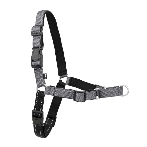 PetSafe EWH D HC L STL Deluxe Easy Walk Harness  L awhd ca b015tnw12c 1