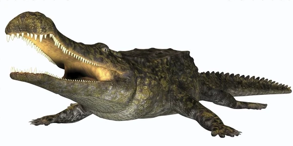 Posterazzi PSTCFR200381P Sarcosuchus is an Extinct awhd ca b07h4zzscz 1