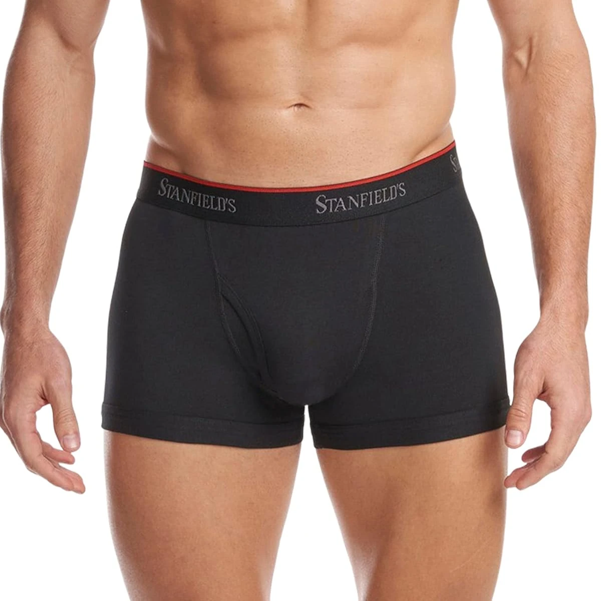Stanfield s Men s Cotton Stretch Trunk Briefs 2 P awhd ca b0935c7pjy 1
