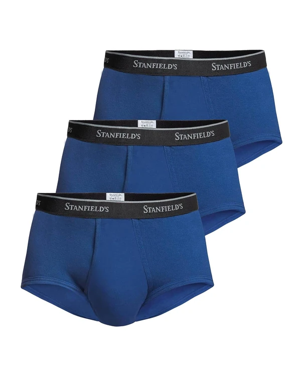 Stanfield s Men s Premium 100  Cotton Regular Rise awhd ca b093crn3qn 1