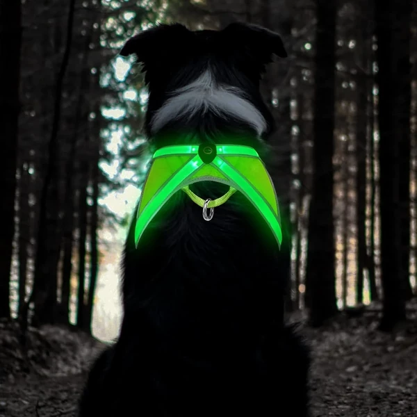 Tripolaco Led Dog Harness   Rechargeable Glow in T awhd ca b09yhw8ncz 1
