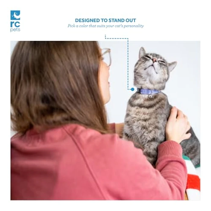 RC Pets Primary Collection Kitty Breakaway Collar, Black by RC Pet Products - Image 2