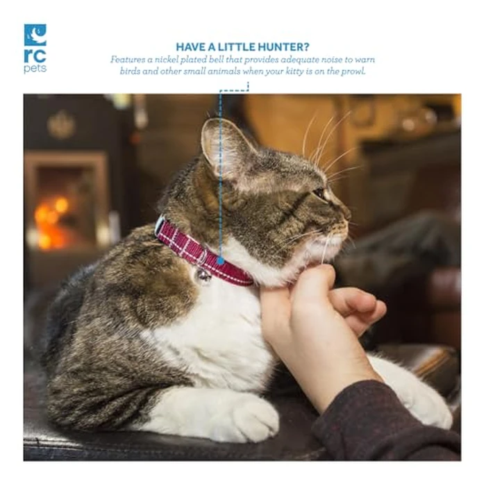 RC Pets Primary Collection Kitty Breakaway Collar, Black by RC Pet Products - Image 5