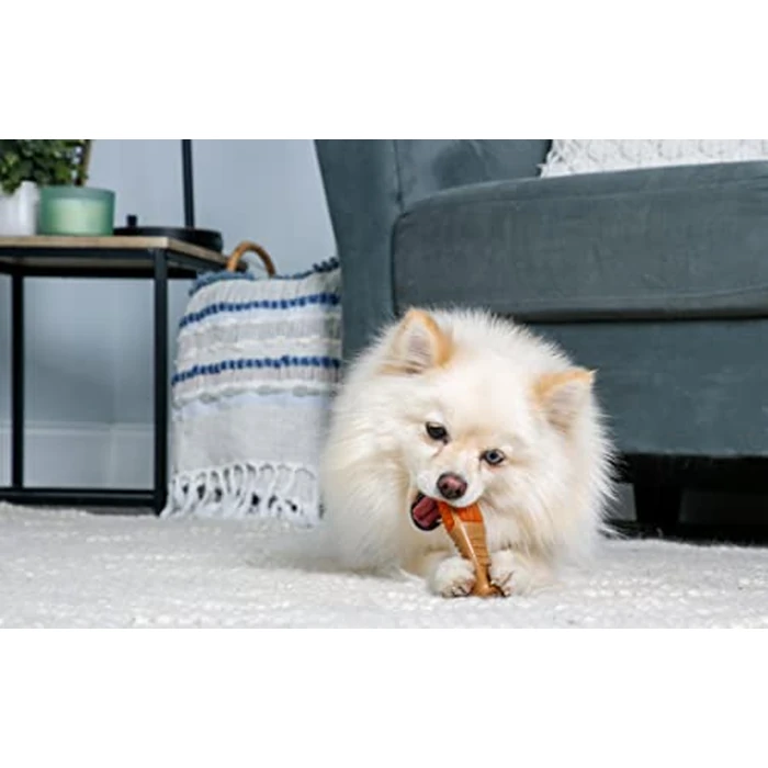 Hartz Chew ‘n Clean Chew Toy and Treat in One Chicken Flavored Drumstick Dog Toy, Small by Hartz - Image 5