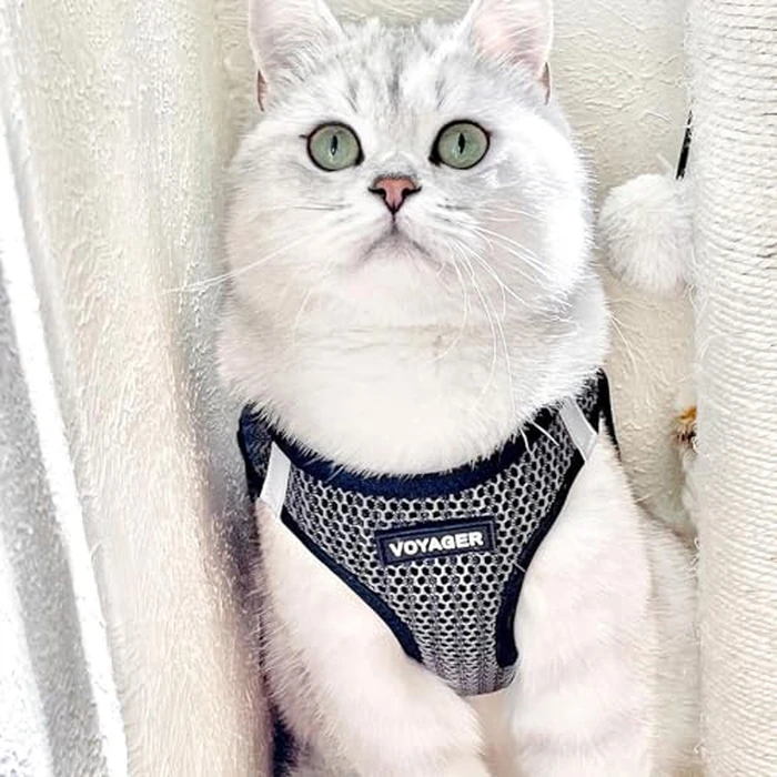 Best Pet Supplies - All Weather Mesh/Plush, Reflective, No Pull Harness for Small, Medium Dogs, Cats - Secure with Hook & Loop Fastener, Buckle, Double D-Rings - Gray 2-Tone, S by Best Pet Supplies - Image 8