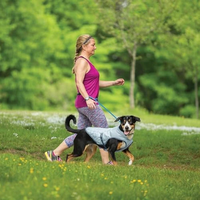Kurgo Core Cooling Vest for Dogs, Dog Cooling Jacket, Evaporation Cooler Coat for Pets, Reflective Material, Adjustable Straps, Leash Attachment Opening, ICY/Storm Blue, Large by Kurgo - Image 6