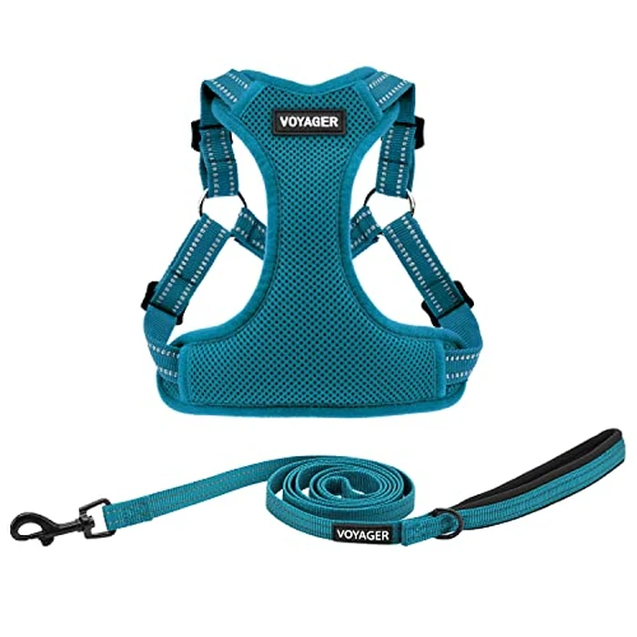 Best Pet Supplies Voyager Adjustable Step-in Flex Breathable Mesh Dog Harness for Small Medium Large Dogs Leash Set (Turquoise), M by Best Pet Supplies - Used - Very Good condition - US$14.22