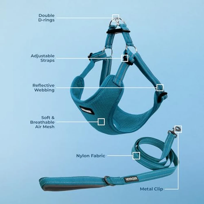 Best Pet Supplies Voyager Adjustable Step-in Flex Breathable Mesh Dog Harness for Small Medium Large Dogs Leash Set (Turquoise), M by Best Pet Supplies - Image 3