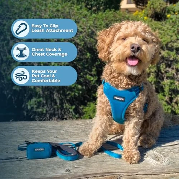 Best Pet Supplies Voyager Adjustable Step-in Flex Breathable Mesh Dog Harness for Small Medium Large Dogs Leash Set (Turquoise), M by Best Pet Supplies - Image 5