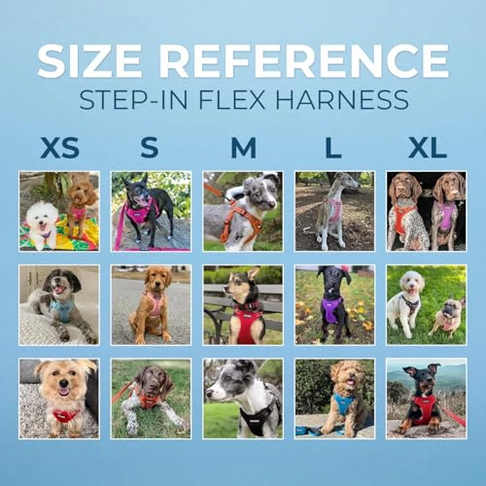 Best Pet Supplies Voyager Adjustable Step-in Flex Breathable Mesh Dog Harness for Small Medium Large Dogs Leash Set (Turquoise), M by Best Pet Supplies - Image 6
