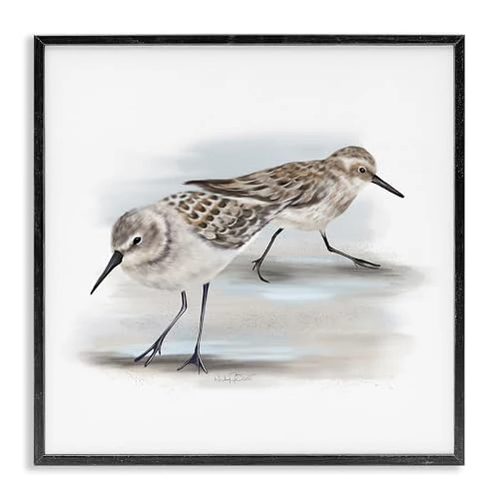 Stupell Industries Sandpiper Pair on Sandy Beach Small Nautical Birds, Designed by Studio Q Black Framed Wall Art, 24 x 24, Grey by Stupell Industries - Used - Very Good condition