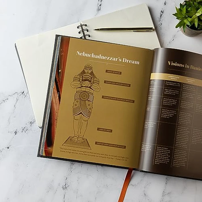 Old Testament Handbook, Charcoal Cloth Over Board, Full-color Design, Commentary, Charts, Maps, Outlines, Timelines, Word Studies by B&H - Image 5