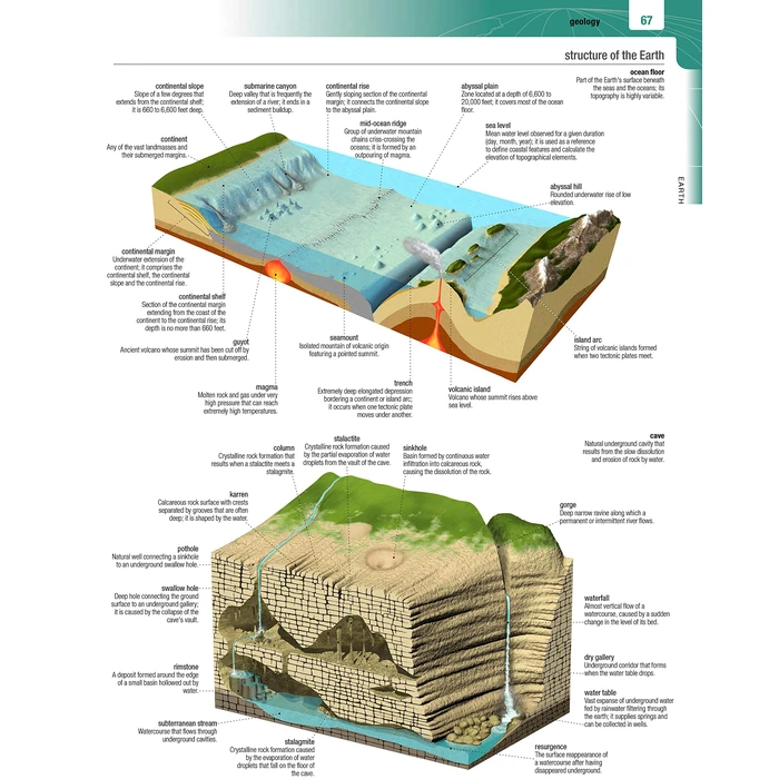 Merriam-Webster’s Visual Dictionary: Second Edition - Newest Edition: Second Edition by Merriam-Webster - Image 3