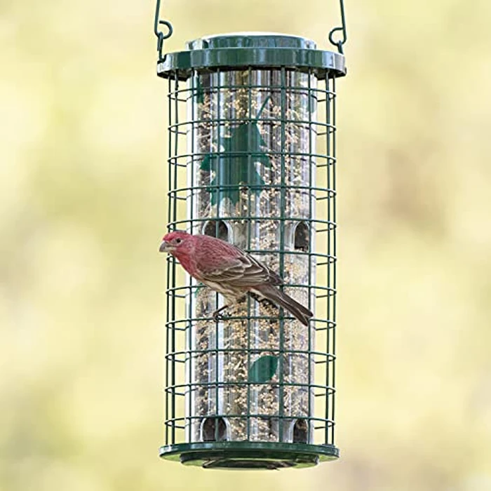 Perky-Pet Squirrel Stumper Wild Bird Feeder - Keep Squirrels Out - 8 Feeding Ports for Wild Birds - 3 lb Wild Bird Seed Capacity - 114G, Green - Decor for Outdoors by Perky-Pet - Image 2