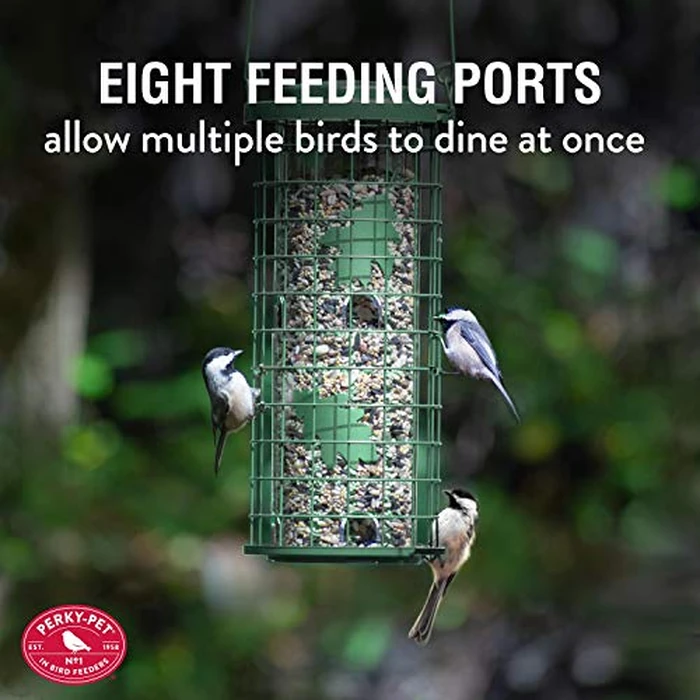 Perky-Pet Squirrel Stumper Wild Bird Feeder - Keep Squirrels Out - 8 Feeding Ports for Wild Birds - 3 lb Wild Bird Seed Capacity - 114G, Green - Decor for Outdoors by Perky-Pet - Image 5