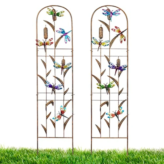 LEWIS&WAYNE 2 Pack Metal Garden Trellis with Colorful Dragonfly 60 Inch High Outdoor Decoration Arched Fence Trellis for Climbing Plants for Patio, Lawn, Yard, Backyard, Wall Brackets by LEWIS&WAYNE - Used - Like New condition
