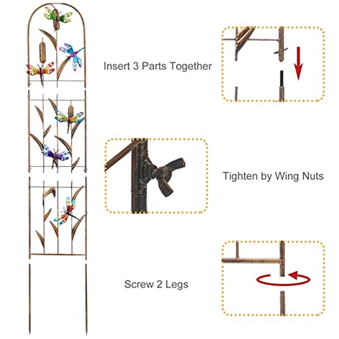 LEWIS&WAYNE 2 Pack Metal Garden Trellis with Colorful Dragonfly 60 Inch High Outdoor Decoration Arched Fence Trellis for Climbing Plants for Patio, Lawn, Yard, Backyard, Wall Brackets by LEWIS&WAYNE - Image 4