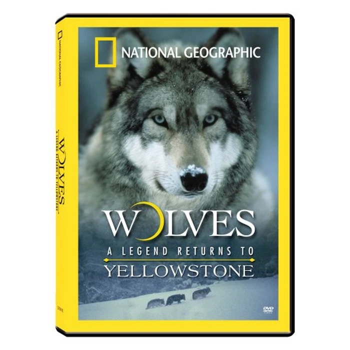 Wolves: A Legend Returns to Yellowstone by 20th Century Fox - Used - Acceptable condition - US$9.31