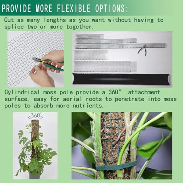Metal Moss Poles for Climbing Plants, D-Shape Sphagnum Moss Pole Monstera Plant Support for Climbing Plants, DIY Plant Stakes Work with Sphagnum Moss (24ft D-Shaped) by ADGYULB - Image 6