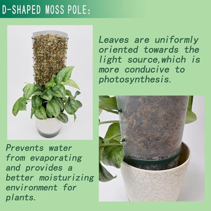 Metal Moss Poles for Climbing Plants, D-Shape Sphagnum Moss Pole Monstera Plant Support for Climbing Plants, DIY Plant Stakes Work with Sphagnum Moss (24ft D-Shaped) by ADGYULB - Image 7