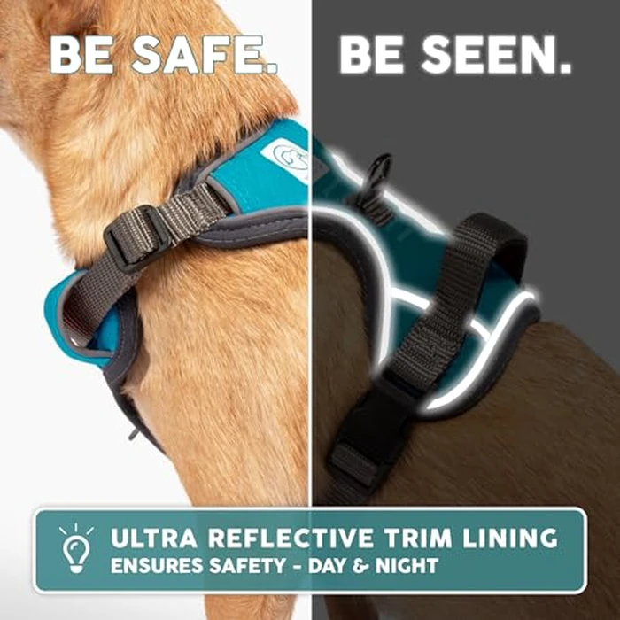 Embark Adventure XL Dog Harness - No-Pull, Reflective Trim, Military-Grade Nylon, 2 Leash Clips with Gel-Lined Handle, Soft & Padded by Embark Pets - Image 7