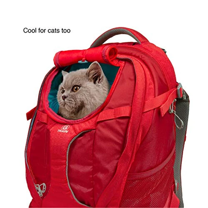 Kurgo Dog Carrier Backpack for Small Pets - Dogs & Cats | TSA Airline Approved | Cat | Hiking or Travel | Waterproof Bottom | G-Train | K9 Ruck Sack | Red,ZCR30-17137 by Kurgo - Image 6