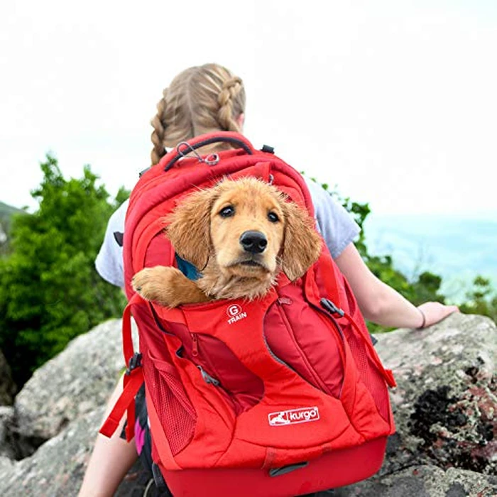 Kurgo Dog Carrier Backpack for Small Pets - Dogs & Cats | TSA Airline Approved | Cat | Hiking or Travel | Waterproof Bottom | G-Train | K9 Ruck Sack | Red,ZCR30-17137 by Kurgo - Image 7