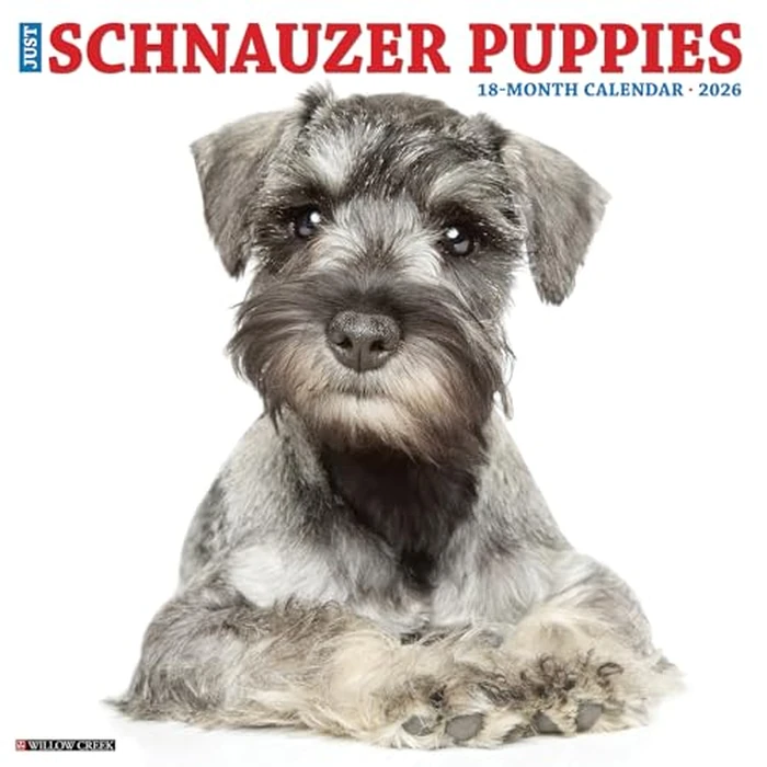 Schnauzer Puppies 2026 12 X 12 Wall Calendar by Willow Creek Press - Used - Like New condition - US$8.09