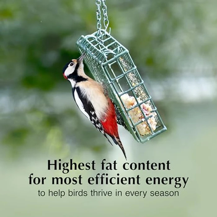 C&S Peanut Suet Treat, Suet Cakes for Wild Birds Including Nuthatches, Woodpeckers and Chickadees, Pack of 8 by C&S - Image 4