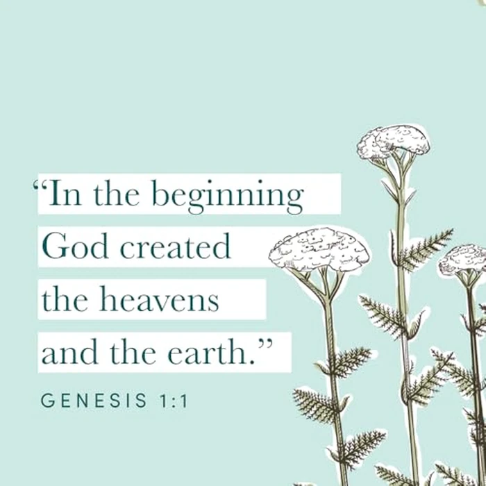 God of Creation: A Study of Genesis 1-11 - Bible Study Book with Video Access by LifeWay Press - Image 1