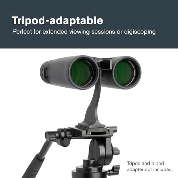 Celestron - Outland X 8x42 Binoculars - Ideal for Birding and Outdoors - 42mm Objective Lenses - Wide 7 degrees Field of View - BaK-4 Prisms - Multi-Coated - Waterproof and Fogproof by Celestron - Image 8