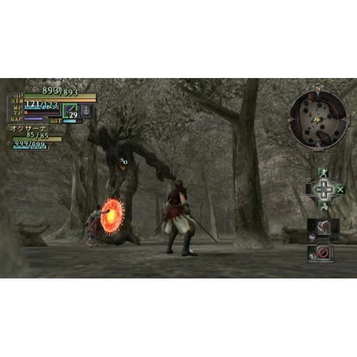 Valhalla Knights: Eldar Saga - Nintendo Wii by Xseed Games - Image 6