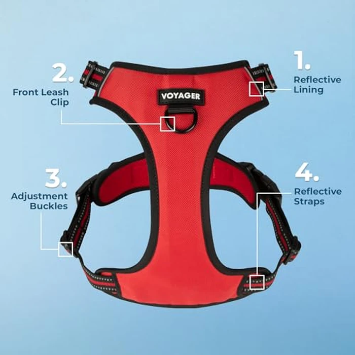 Voyager Dog Harness Dual Leash Attachment No-Pull Control Adjustable Soft but Strong Pet Harness for Medium and Large Dogs with 3M Reflective Technology, Leash Set Red Nylon, L (Chest: 25-30") by Best Pet Supplies - Image 2