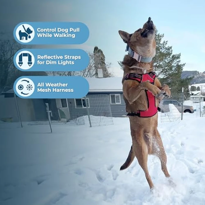 Voyager Dog Harness Dual Leash Attachment No-Pull Control Adjustable Soft but Strong Pet Harness for Medium and Large Dogs with 3M Reflective Technology, Leash Set Red Nylon, L (Chest: 25-30") by Best Pet Supplies - Image 5