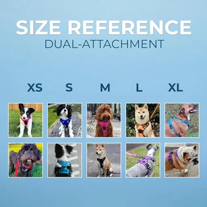 Voyager Dog Harness Dual Leash Attachment No-Pull Control Adjustable Soft but Strong Pet Harness for Medium and Large Dogs with 3M Reflective Technology, Leash Set Red Nylon, L (Chest: 25-30") by Best Pet Supplies - Image 6