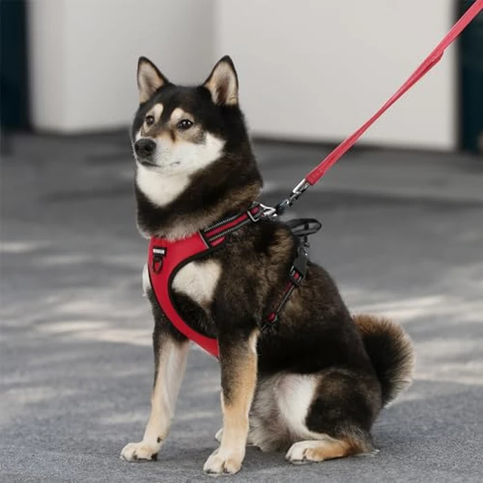 Voyager Dog Harness Dual Leash Attachment No-Pull Control Adjustable Soft but Strong Pet Harness for Medium and Large Dogs with 3M Reflective Technology, Leash Set Red Nylon, L (Chest: 25-30") by Best Pet Supplies - Image 7