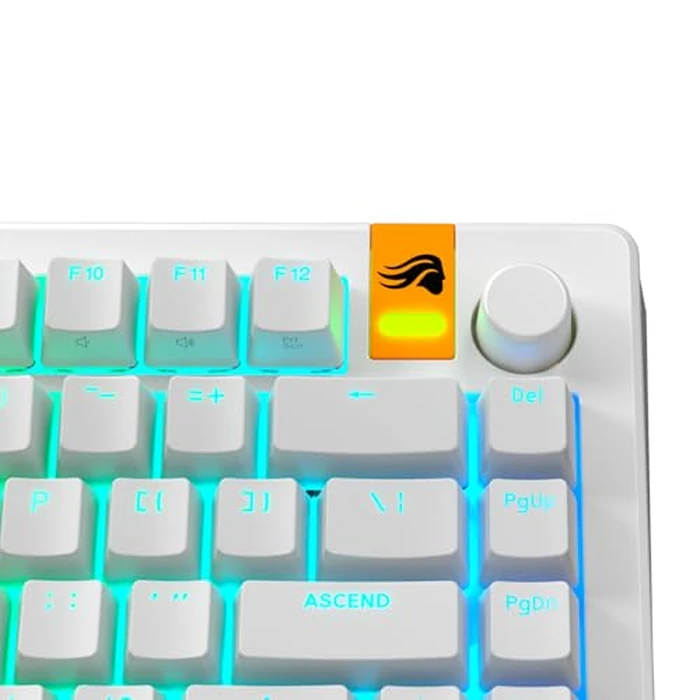 Glorious Gaming - GPBT Backlit Keycaps (White) Translucent Shine Through Legends, Fits 100%, 75% 65% 60% Custom Mechanical Gaming Keyboards, Fits ANSI, ISO, Windows & macOS, English (US) by GLORIOUS - Image 7