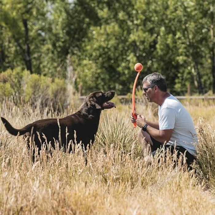 Chuckit! Sport 26L Dog Ball Launcher - Includes a 3-inch Diameter Large Ball for Dogs 60-100 Pounds - Manual Thrower for Dog Balls With a Slim Ergonomic Handle - 26-inch Length by Chuckit! - Image 2