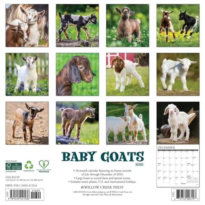 Baby Goats 2025 12" x 12" Wall Calendar by WILLOW CREEK - Image 2