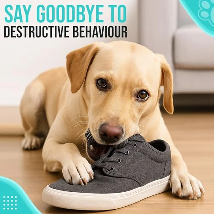 20" Dog Snuffle Mat - Interactive Dog Puzzle Toys for Enrichment - Large Slow Feeder Foraging Mat for Brain Games & Nosework Training - Washable Pet Sniff Mat with Training Clicker & Whistle by Friendly Barks - Image 8