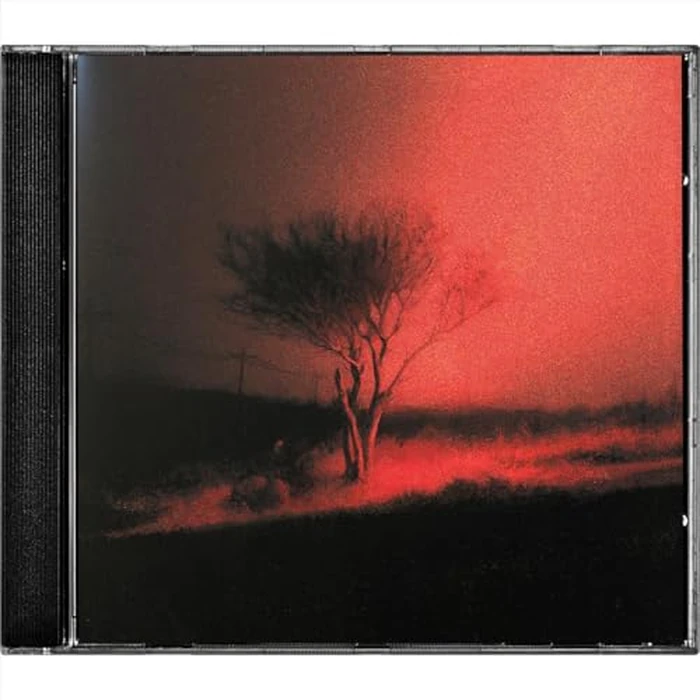 Piss In The Wind by UNIVERSAL MUSIC GROUP - Used - Like New condition - CA$18.50