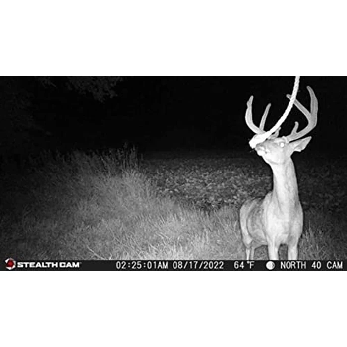 18MP/480 Video 30FPS/0.8 SEC SPEED/18 IR EMIT/SD Card Slot by Stealth Cam - Image 2