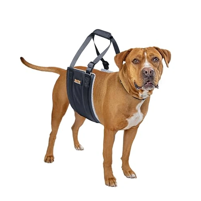 Mighty Paw Dog Lift Harness - Large Size - Comfortable Support for Back Legs - Hind Leg Sling for Bigger Canines - Hip and ACL Brace for Elderly Dogs - Dog Car Harness for Enhanced Safety by Mighty Paw - Used - Good condition - CA$18.78