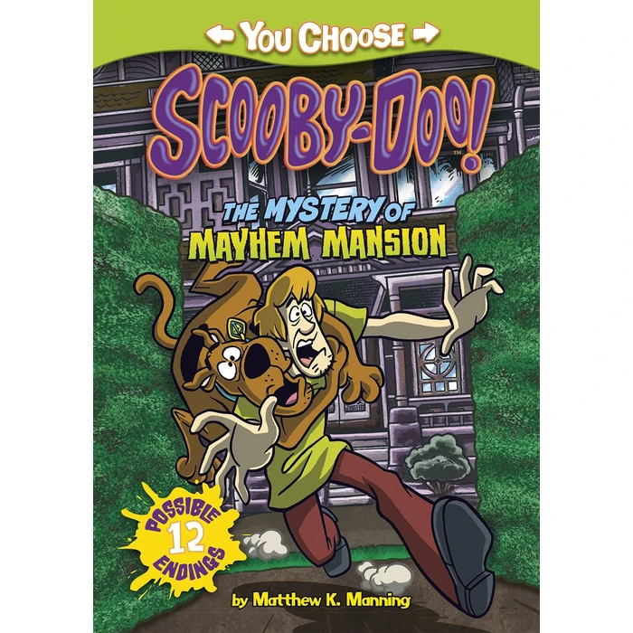The Mystery of the Mayhem Mansion by Stone Arch Books - Used - Acceptable condition - CA$5.17